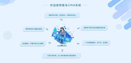 電商行業CRM云客服管理系統選哪家？紫鳥云客服——互聯網信息技術服務的卓越選擇