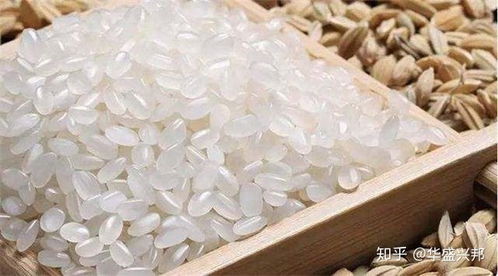 食品生產(chǎn)許可證注銷(xiāo)全流程指南
